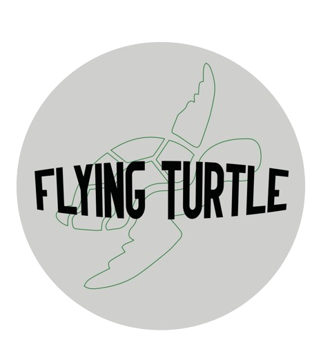 Flying Turtle